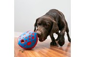 Koirat - KONG Activation Toy Rewards Wally - 341014