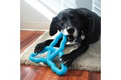 Koirat - KONG Dog Toy Flyangle Assorted Colors Large - 341015