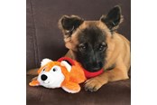Koirat - KONG Dog Toy Cozie Pocketz Beaver Medium 33cm - 341128
