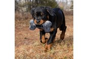Koirat - KONG Dog Toy Maxx Bone Small/Medium 28cm - 341189