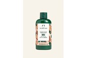 Vartalonhoito - The Body Shop Shea Shower Cream 250 ml - 5028197235840