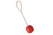 Koirat - Trixie Ball on Rope ø 4.5/35 cm assorted colours - TX33481