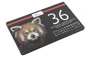 Askartelu- ja taidetarvikkeet - Nassau 36 colored pencils in metal box - AR0213/GE