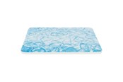 Kanit & Jyrsijät - Trixie Cooling Plate 20x15 cm blue - TX63011