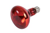 Lämpölamput & -polttimot - Trixie Infrared Heat Spot Lamp 150W R95 E27 - TX76098
