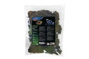 Jyrsijät - Trixie Terrarium moss 200g - TX76155