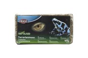 Terraarion sisustus & koristelu - Trixie Terrarium moss 100 g - TX76158