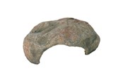 Terraarion sisustus & koristelu - Trixie Reptile Cave 30×25×10 cm - TX76192