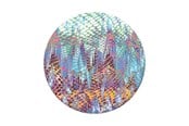 Puhelin - Muut lisävarusteet - PopSockets Chimera - 800980
