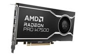 Näytönohjaimet - AMD Radeon Pro W7500 - 8GB GDDR6 RAM - Näytönohjaimet - 100-300000078
