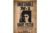 Palapelit - Thumbs Up! Harry Potter "Wanted No. 1" Puzzle - 8435450255397