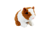 Nuket, pehmolelut ja oheistarvikkeet - Happy Pets Guinea Pig - 31511174
