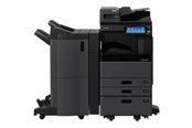 Mustepatruunat, värikasetit ja lisävarusteet - Toshiba T-3008E - black - original - toner cartridge - totot30080