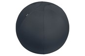Ergonomia - Leitz  aktiivipallo tasapainottavalla lisäpainolla 65cm Tummanharmaa - 65420089