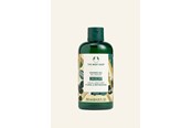 Vartalonhoito - The Body Shop Moringa Shower Gel 250 ml - 5028197237370