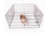 Koirat - Active Canis Pentuaitaus ja koira-aitaus 122x122x61cm - T6845