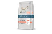 Koirat - Quattro Super Premium all breed Salmon 3kg - 130582
