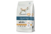 Koirat - Quattro All Breed with Poultry Adult 3kg - 13052