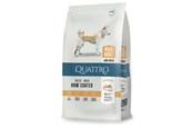 Koirat - Quattro Maxi Adult with Poultry 12kg - 13051