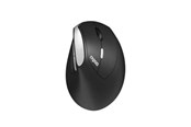 Hiiret - RAPOO EV250 - Ergonominen hiiri - Optical / gyroscopic - 6 painiketta - Musta - 13531