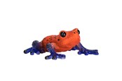 Lelut - Mojo Wildlife Poison Dart Tree Frog - 381016