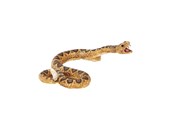 Lelut - Mojo Wildlife Rattlesnake - 387268