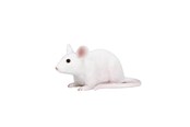 Lelut - Mojo Farmland Mouse - 387235 - 387235
