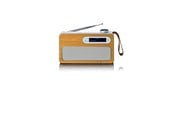 DAB, Verkko- & Kelloradiot - Lenco PDR-040EF - Portable DAB+ radio with Bluetooth® - Bamboo - DAB+/FM - Stereo - hopea - PDR-040EF
