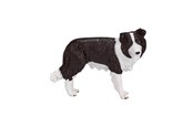 Lelut - Mojo Farmland Border Collie - 387203