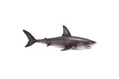 Lelut - Mojo Sealife Great White Shark - 381012