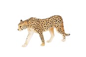 Lelut - Mojo Wildlife Cheetah Male - 387197 - 387197