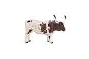 Lelut - Mojo Farmland Texas Longhorn Bull - 387222
