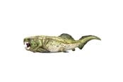 Lelut - Mojo Prehistory Dunkleosteus - 387374