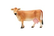 Schleich - Schleich Jersey Nauta - 13967