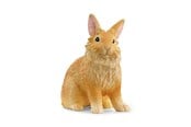 Schleich - Schleich Leijonanharjas Kani - 13974