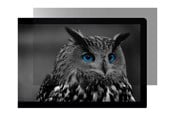 Näyttö - Natec OWL display privacy filter - 27" - NFP-2118