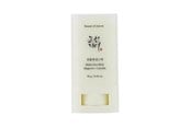 Kasvojen hoito - Beauty of Joseon - Matte Sun Stick Mugwort + Camelia SPF 50+ PA++++ - 8809864766884
