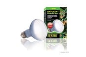 Lämpölamput & -polttimot - EXO TERRA - Daylight Basking Spot 75W R20 E27 Green - (220.2720) - 220.2720