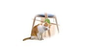 Kissat - AFP All For Paws - Groomer 2 In 1 20.3X11X2.2Cm - (781.1025) - 781.1025