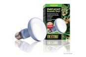 Lämpölamput & -polttimot - EXO TERRA - Daylight Basking Spot 100W R25 E27 Green - (220.2730) - 220.2730
