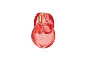 Parfyymit & Tuoksut - Bvlgari Omnia Coral Edt Spray - 783320420672