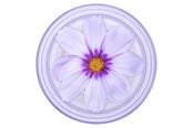 Puhelin - Muut lisävarusteet - PopSockets PopGrip Plant Purple Cosmo - 806846