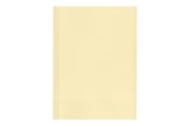 Arkistointi & Säilytys - Esselte - file folder - for A4 - yellow (pack of 100) - 44102
