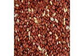 Food, Snacks & Vitamins - Hobby First Afskallede jordnødder 25 kg - 0570