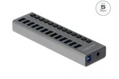 USB hub - DeLOCK - hub - 13 ports USB hub - 13 porttia - USB 3.0 - Harmaa - 63738