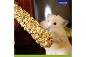 Jyrsijät - Vitakraft Kräcker hunaja ja speltti hamstereille - 25152