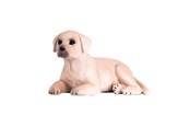 Hahmot - Mojo Farmland Labrador Puppy - 387272