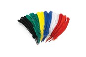 Askartelu- ja taidetarvikkeet - Colorations - Feathers 30cm Set of 24 - CHLGQUIL