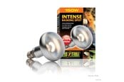 Lämpölamput & -polttimot - EXO TERRA Intense Basking Spot 150W - HPT2140