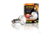 Heating/Light - EXO TERRA Intense Basking Spot 75W - HPT2136